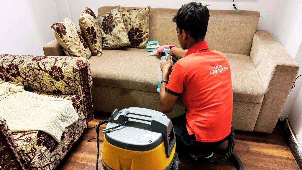 sofa cleaning