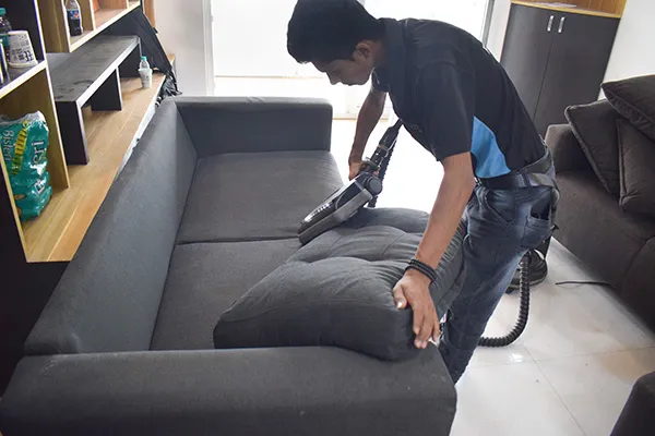 sofa cleaning